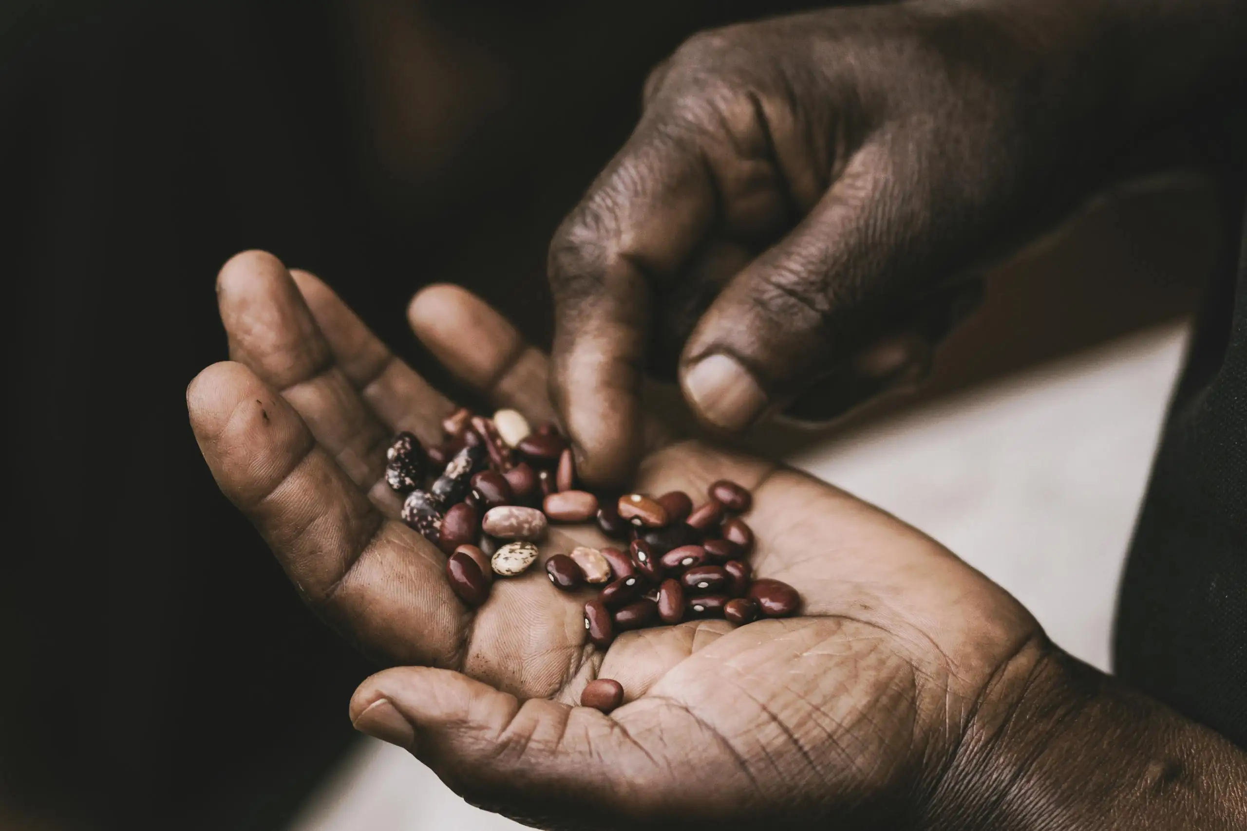 A detailed close-up of hands holding a variety of colorful beans, highlighting texture and diversity.